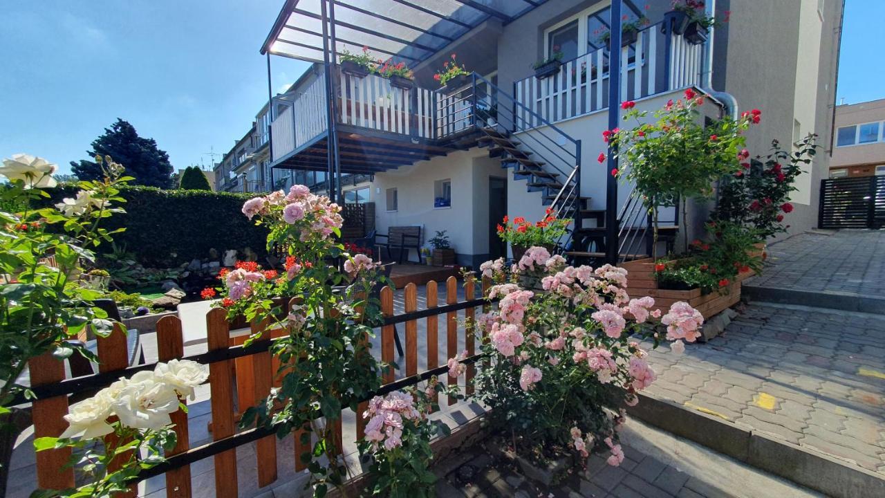David Home 56 Znojmo Exteriör bild